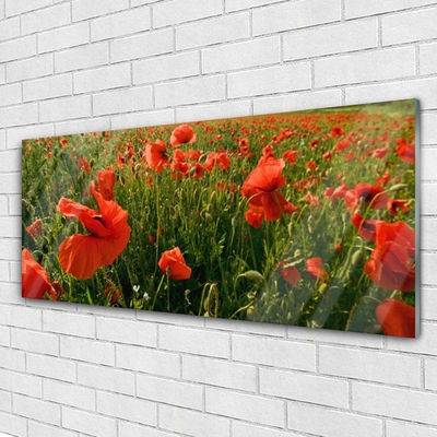 Pintura acrílica Papoulas Plantam Natureza