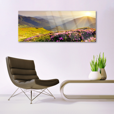 Quadro acrílico Paisagem de prados de montanha
