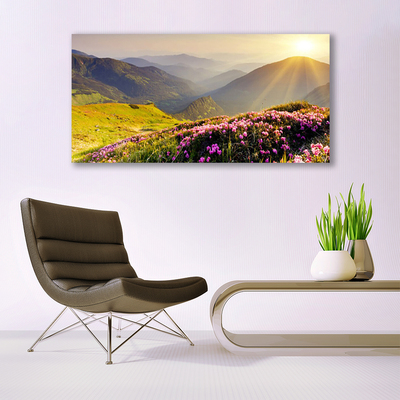 Quadro acrílico Paisagem de prados de montanha