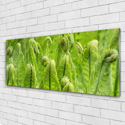 Quadro acrílico Natureza Vegetal