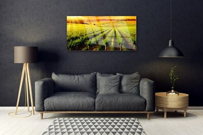 Pintura acrílica Natureza do Campo