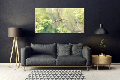 Quadro acrílico Plantas Selvagens Natureza