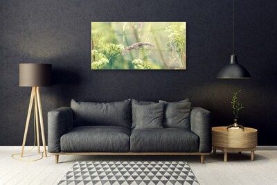 Quadro acrílico Plantas Selvagens Natureza