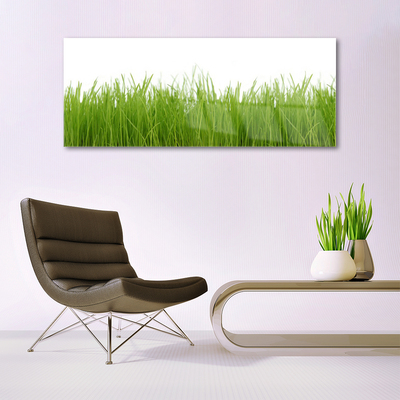 Quadro acrílico Natureza da planta grama