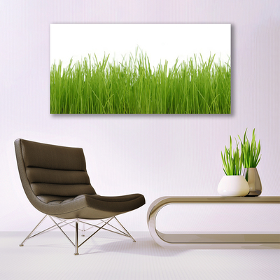 Quadro acrílico Natureza da planta grama