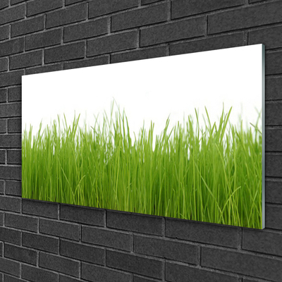 Quadro acrílico Natureza da planta grama