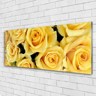 Quadro acrílico Planta de flores rosas