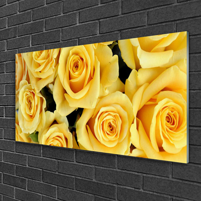 Quadro acrílico Planta de flores rosas