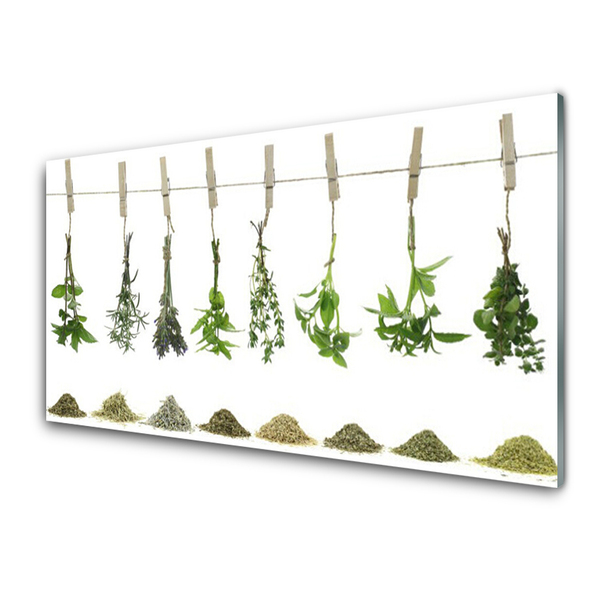 Quadro acrílico Flores Planta Natureza