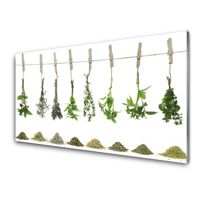 Quadro acrílico Flores Planta Natureza