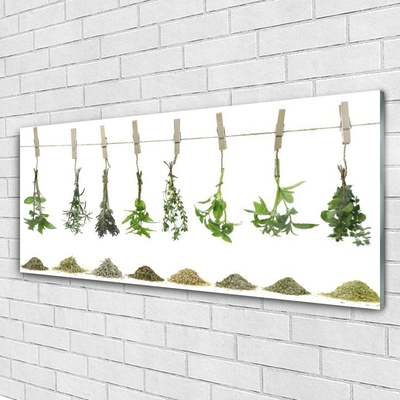 Quadro acrílico Flores Planta Natureza