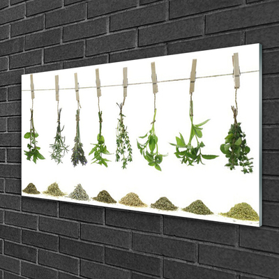 Quadro acrílico Flores Planta Natureza