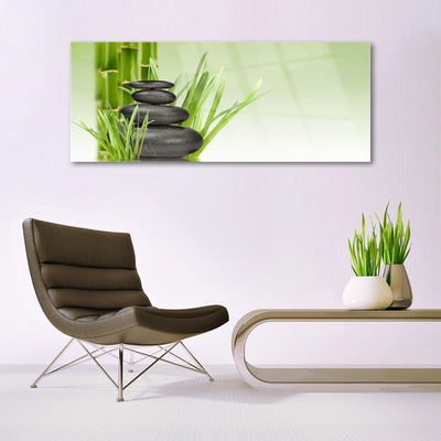 Quadro acrílico Planta de grama de bambu Natureza