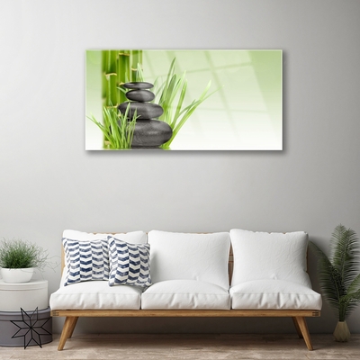 Quadro acrílico Planta de grama de bambu Natureza