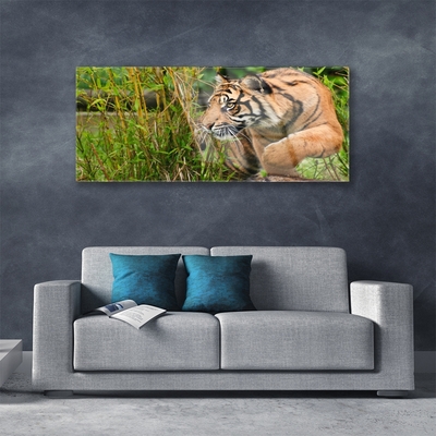 Quadro acrílico Animais Tigres