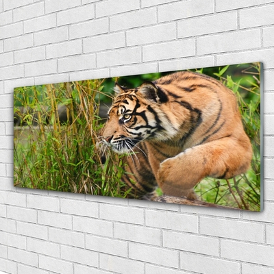 Quadro acrílico Animais Tigres