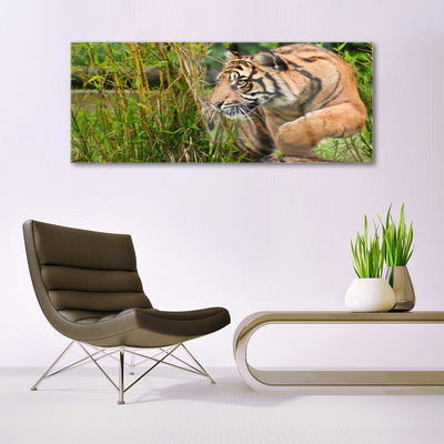 Quadro acrílico Animais Tigres