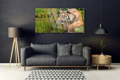 Quadro acrílico Animais Tigres