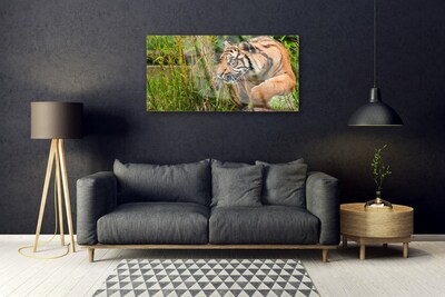 Quadro acrílico Animais Tigres