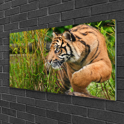 Quadro acrílico Animais Tigres