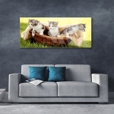 Quadro acrílico Gatos Animais