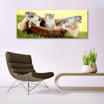 Quadro acrílico Gatos Animais