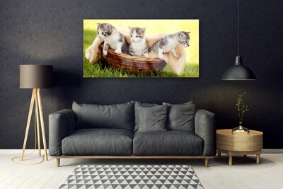 Quadro acrílico Gatos Animais