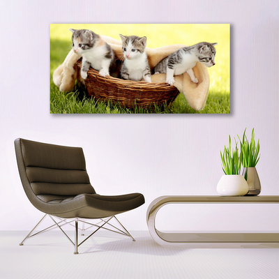 Quadro acrílico Gatos Animais