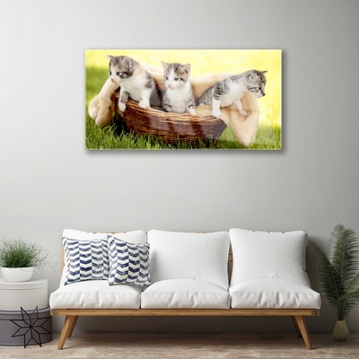 Quadro acrílico Gatos Animais