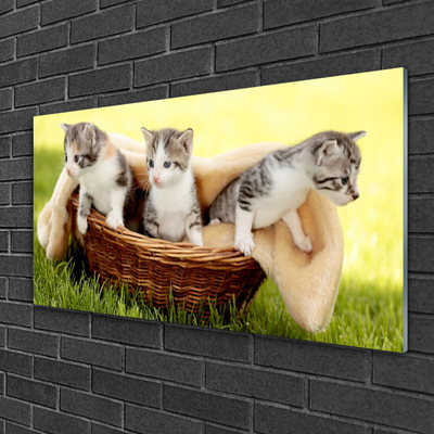 Quadro acrílico Gatos Animais