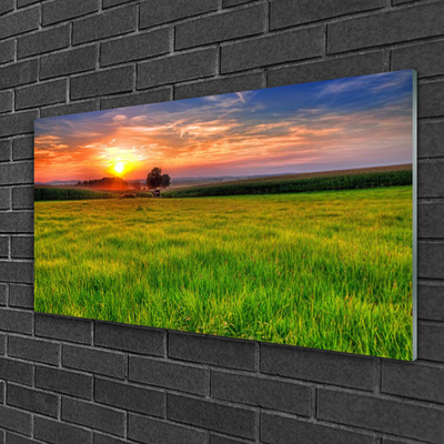 Pintura acrílica Prado Sol Natureza