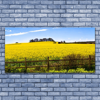 Quadro acrílico Paisagem de plantas de campo