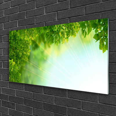 Pintura acrílica Folhas Natureza Planta