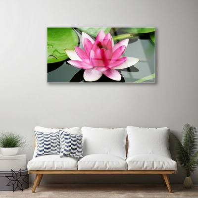 Pintura acrílica Flor Planta Natureza