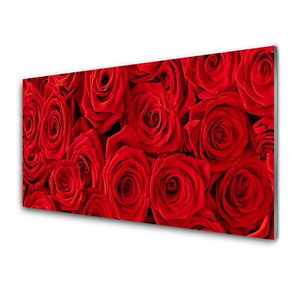 Quadro acrílico Planta de flores rosas