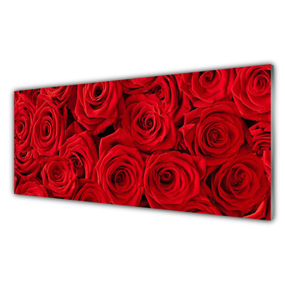 Quadro acrílico Planta de flores rosas