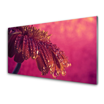 Pintura acrílica Árvore Natureza Planta