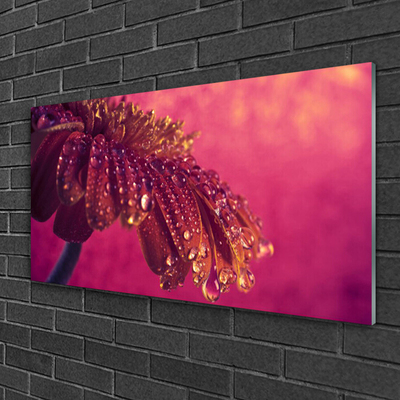 Pintura acrílica Árvore Natureza Planta