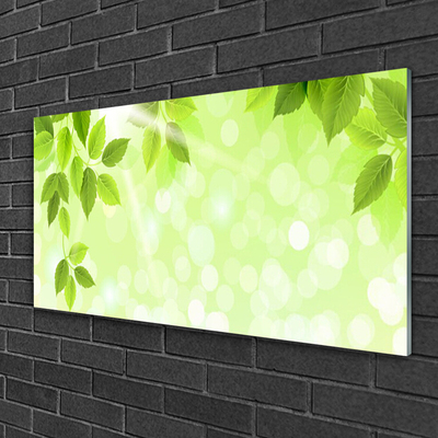 Quadro acrílico Folhas Natureza Planta