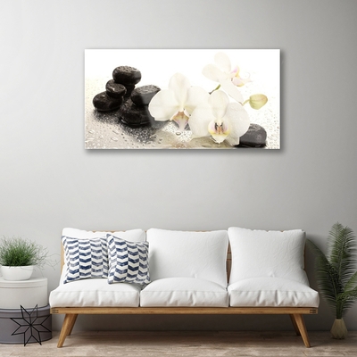 Quadro acrílico Planta de pedras de flores