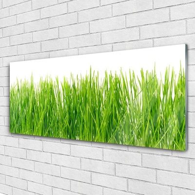 Quadro acrílico Natureza da planta grama
