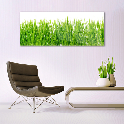 Quadro acrílico Natureza da planta grama