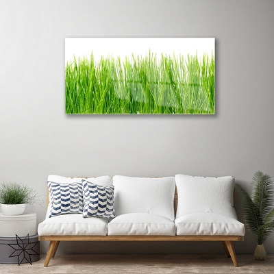 Quadro acrílico Natureza da planta grama
