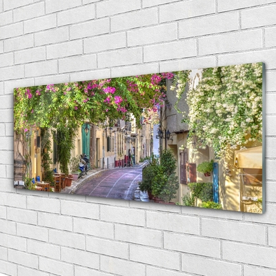 Quadro acrílico Beco Flores Casas Planta