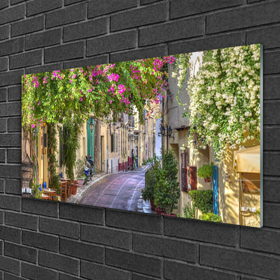 Quadro acrílico Beco Flores Casas Planta