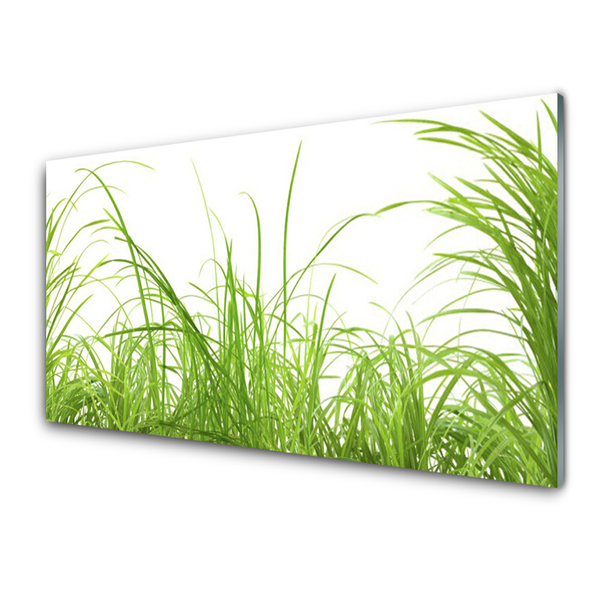 Quadro acrílico Natureza da planta grama