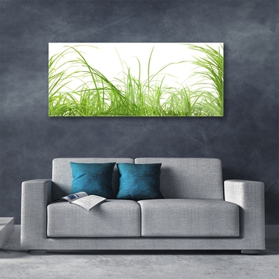 Quadro acrílico Natureza da planta grama