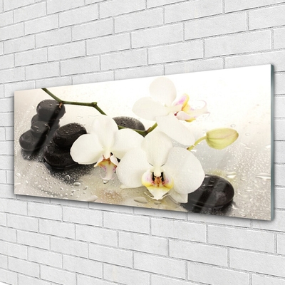 Quadro acrílico Linda flor de orquídea