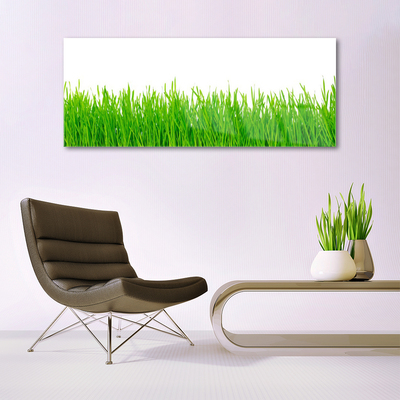 Quadro acrílico Natureza da planta grama
