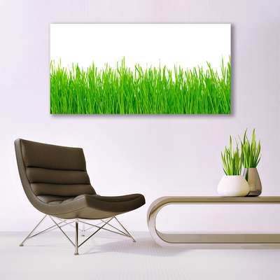 Quadro acrílico Natureza da planta grama